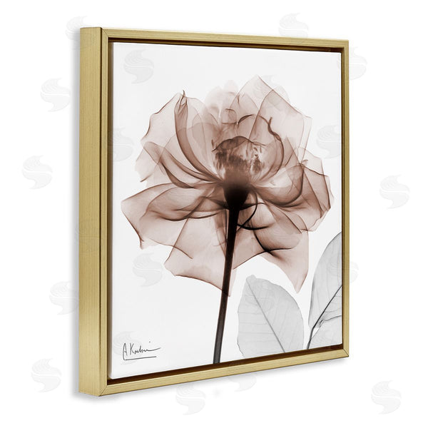 Stupell Industries Albert Koetsier | Minimal Mocha Rose