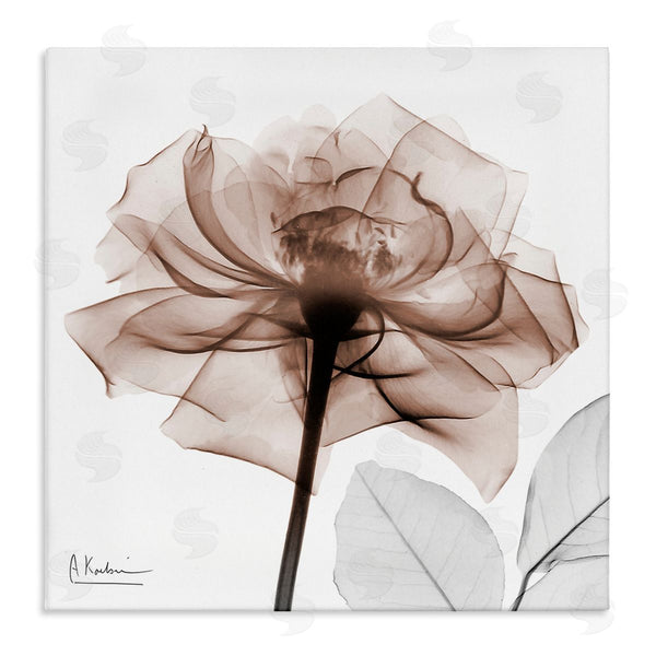 stupell industries Albert Koetsier | Minimal Mocha Rose