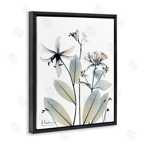 Stupell Industries Albert Koetsier | Minimal Plant Blossoms Wall Art