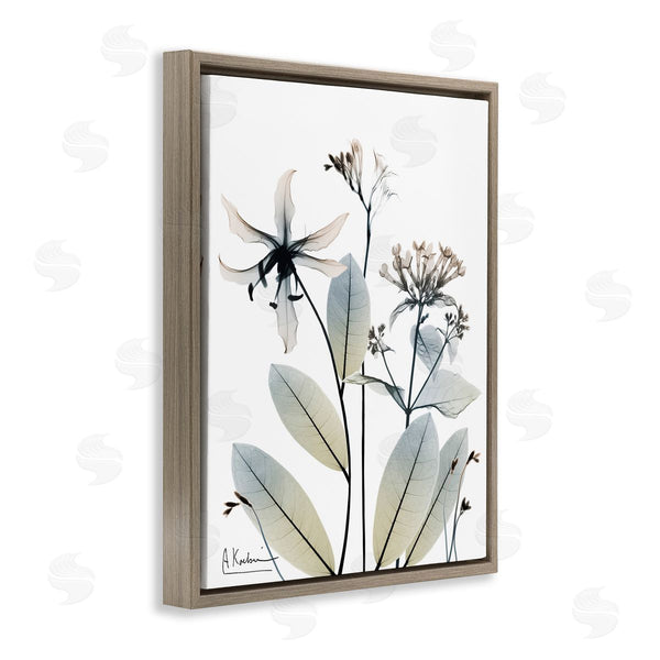 Stupell Industries Albert Koetsier | Minimal Plant Blossoms Wall Art