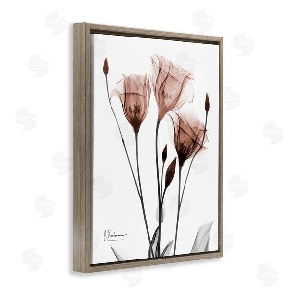 Stupell Industries Albert Koetsier | Minimal Translucent Tulips