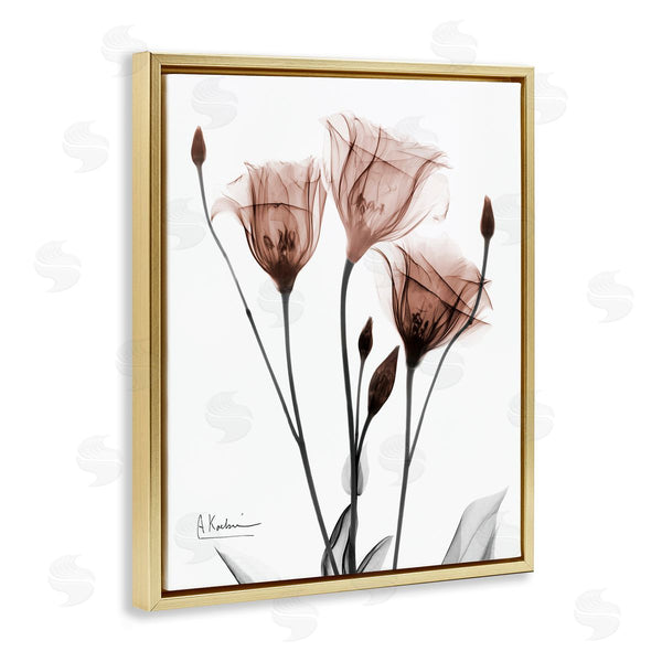 Stupell Industries Albert Koetsier | Minimal Translucent Tulips