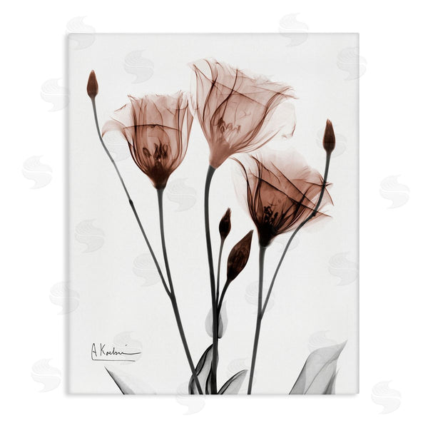 stupell industries Albert Koetsier | Minimal Translucent Tulips