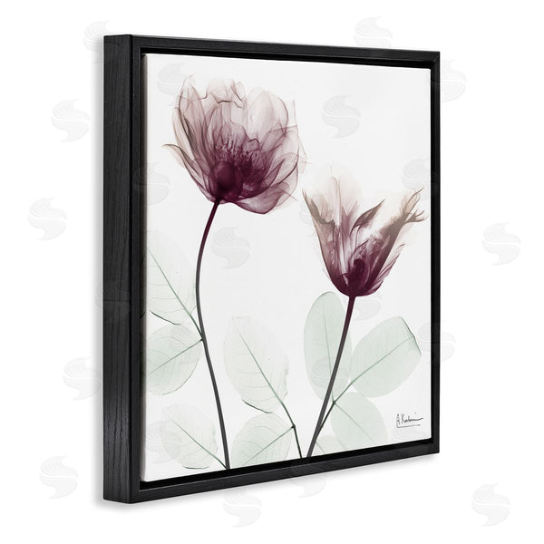 Stupell Industries Albert Koetsier | Minimalist Translucent Flowers