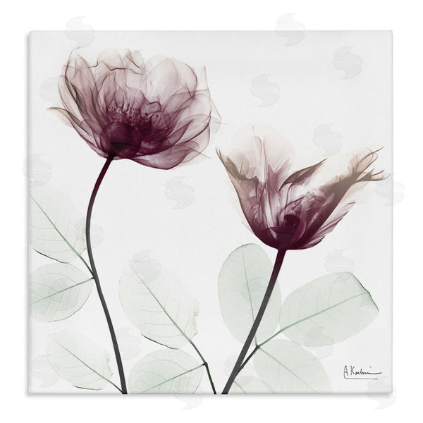 stupell industries Albert Koetsier | Minimalist Translucent Flowers