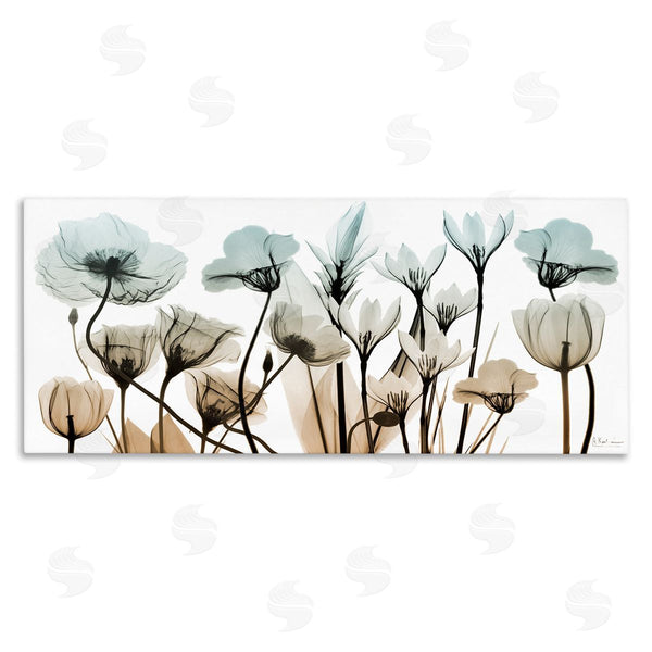 stupell industries Albert Koetsier | Mixed Transparent Flowers Wall Art