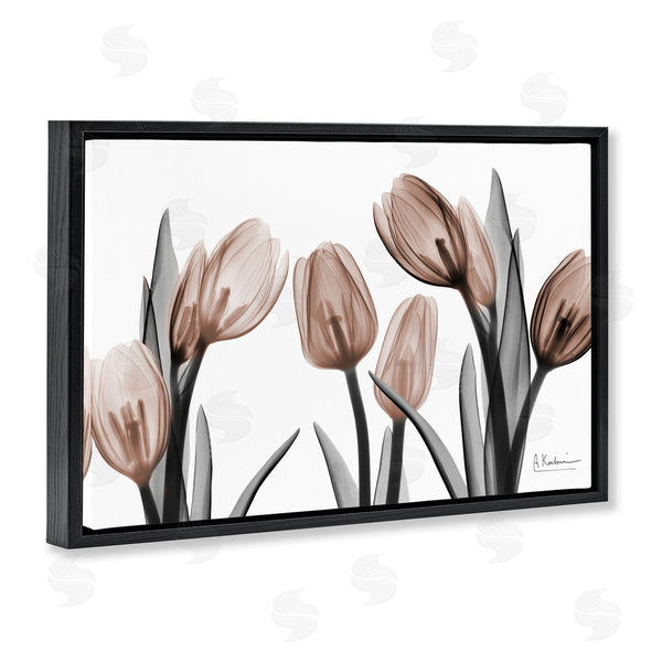 Stupell Industries Albert Koetsier | Mocha & Discovery Tulips