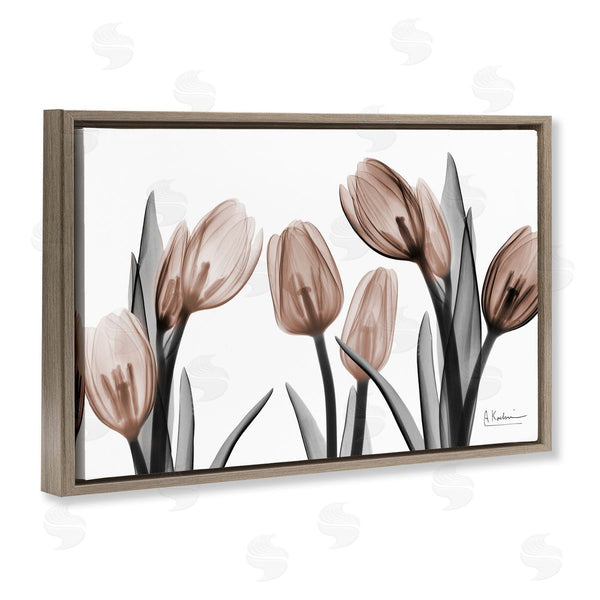 Stupell Industries Albert Koetsier | Mocha & Discovery Tulips