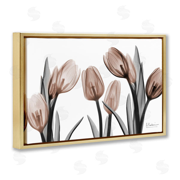 Stupell Industries Albert Koetsier | Mocha & Discovery Tulips