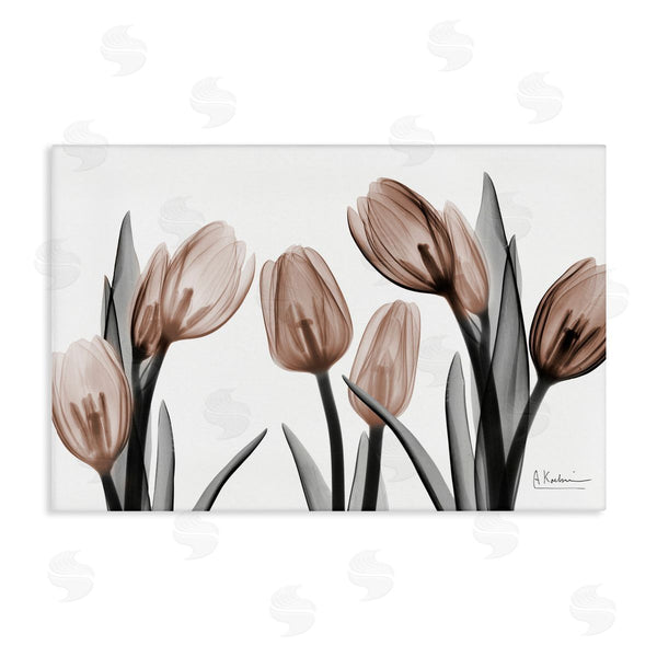 stupell industries Albert Koetsier | Mocha & Discovery Tulips