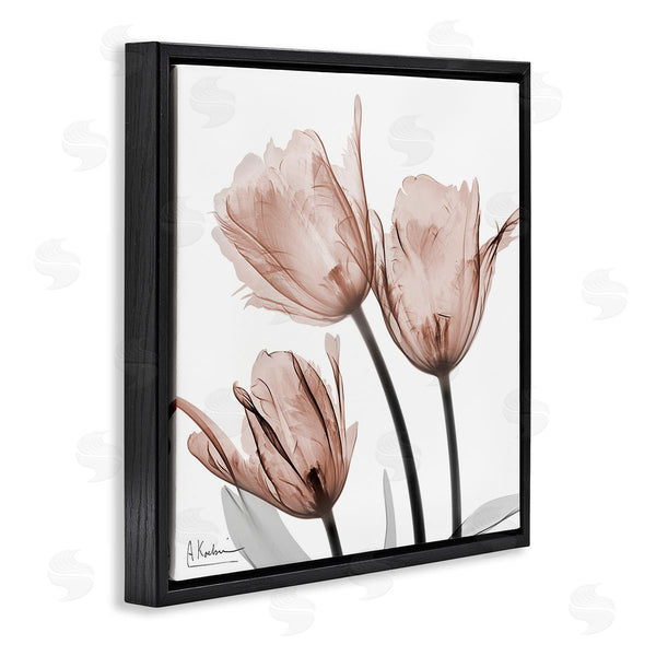 Stupell Industries Albert Koetsier | Mocha Tulips Trio