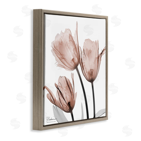 Stupell Industries Albert Koetsier | Mocha Tulips Trio