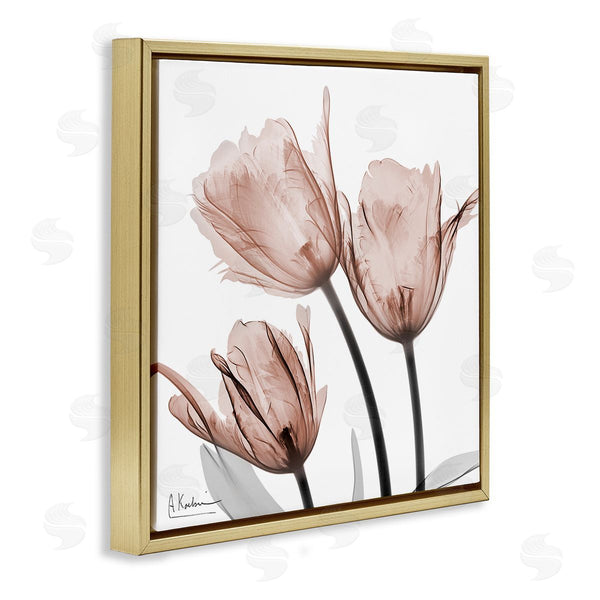 Stupell Industries Albert Koetsier | Mocha Tulips Trio