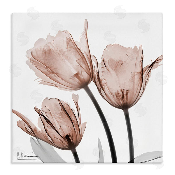 stupell industries Albert Koetsier | Mocha Tulips Trio