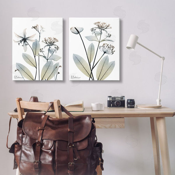 Stupell Industries Albert Koetsier | Modern Budding Blooms Wall Art