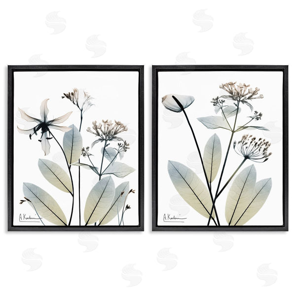 Stupell Industries Albert Koetsier | Modern Budding Blooms Wall Art