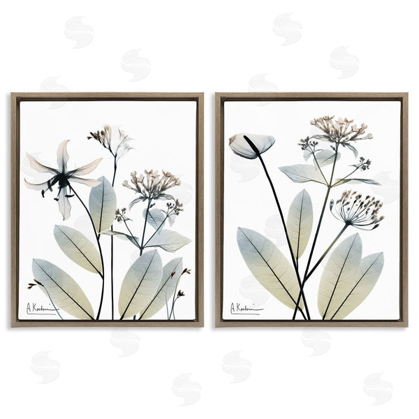 Stupell Industries Albert Koetsier | Modern Budding Blooms Wall Art