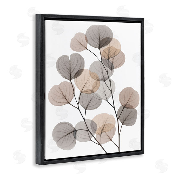 Stupell Industries Albert Koetsier | Modern Eucalyptus Leaf Stems Translucent Brown Grey Leaves Wall Art