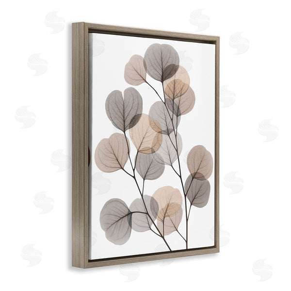 Stupell Industries Albert Koetsier | Modern Eucalyptus Leaf Stems Translucent Brown Grey Leaves Wall Art