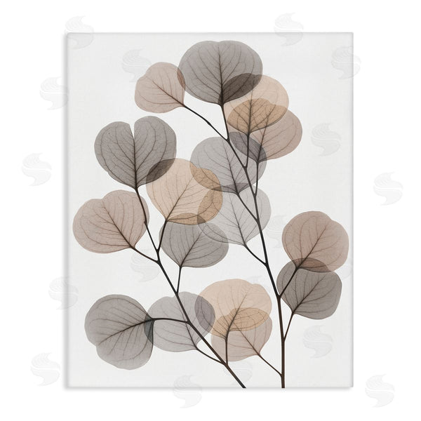 stupell industries Albert Koetsier | Modern Eucalyptus Leaf Stems Translucent Brown Grey Leaves Wall Art