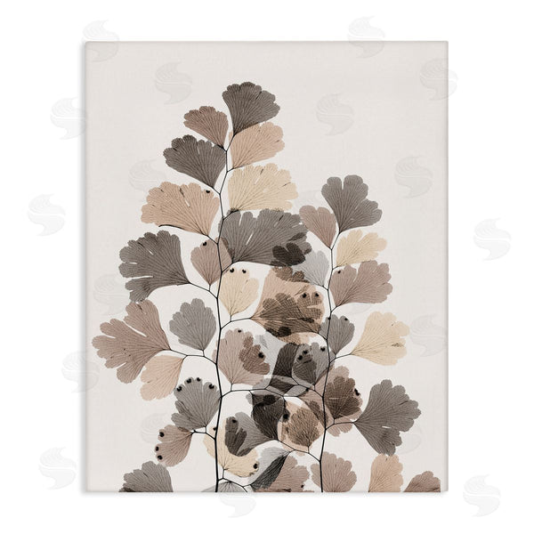 stupell industries Albert Koetsier | Modern Ginkgo Leaf Arrangement Translucent Brown Grey Leaves Wall Art