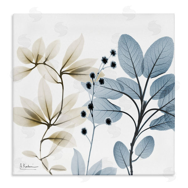 stupell industries Albert Koetsier | Modern Herb Sprigs