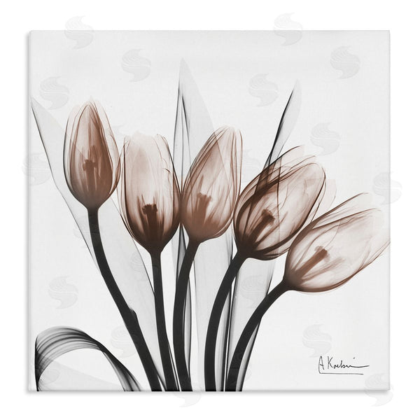 stupell industries Albert Koetsier | Modern Lined Up Tulips