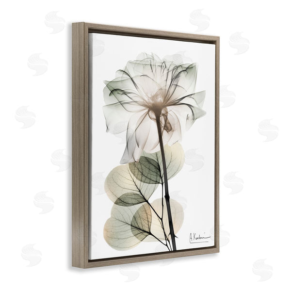 Stupell Industries Albert Koetsier | Modern Minimalist Buds