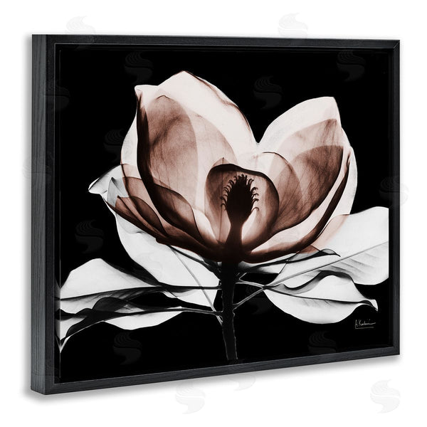 Stupell Industries Albert Koetsier | Modern Mocha Magnolia