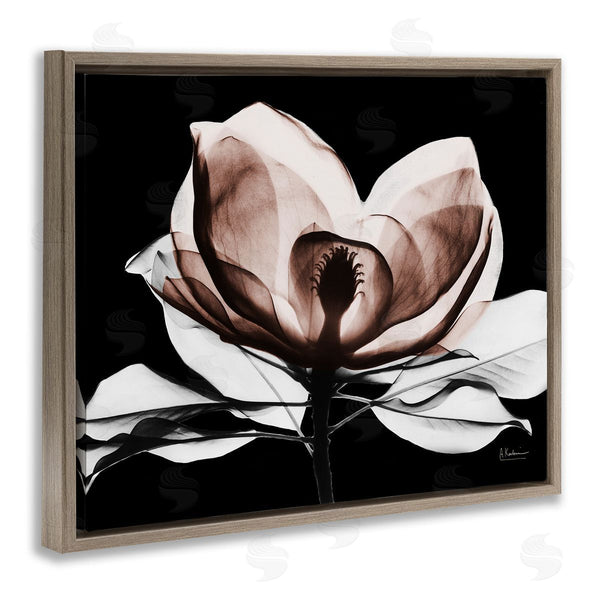 Stupell Industries Albert Koetsier | Modern Mocha Magnolia