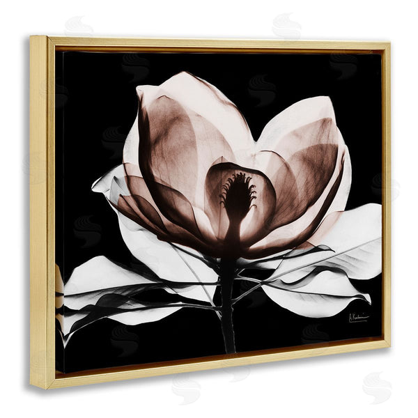 Stupell Industries Albert Koetsier | Modern Mocha Magnolia