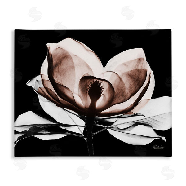 stupell industries Albert Koetsier | Modern Mocha Magnolia