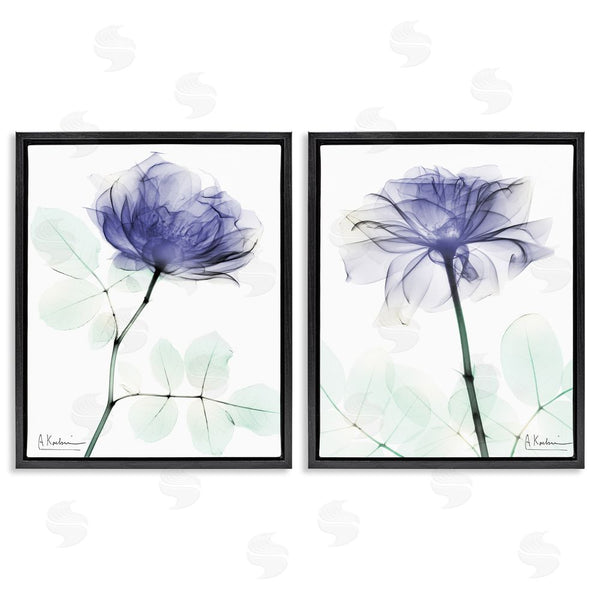 Stupell Industries Albert Koetsier | Modern Purple Rose Unique Photography Wall Art