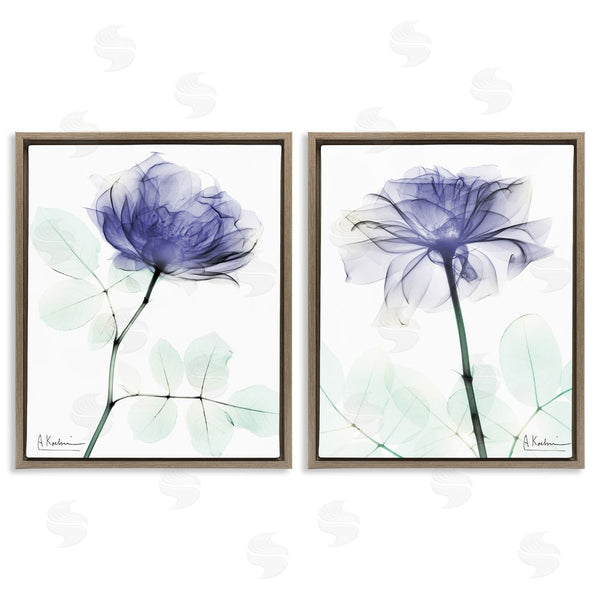 Stupell Industries Albert Koetsier | Modern Purple Rose Unique Photography Wall Art