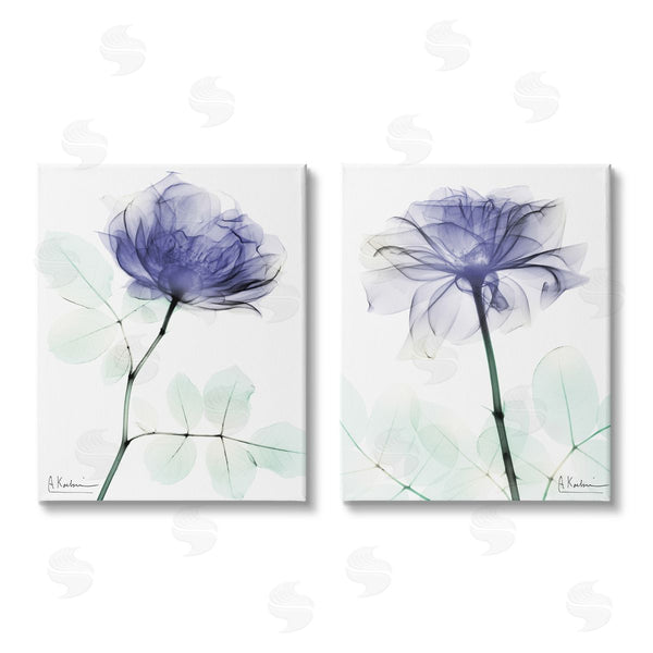 stupell industries Albert Koetsier | Modern Purple Rose Unique Photography Wall Art