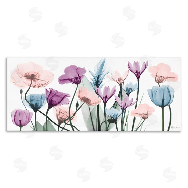 stupell industries Albert Koetsier | Modern Translucent Pastel Tulips Wall Art