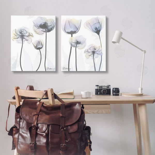 Stupell Industries Albert Koetsier | Modern X-Ray Blooms Wall Art