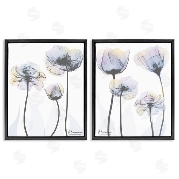 Stupell Industries Albert Koetsier | Modern X-Ray Blooms Wall Art