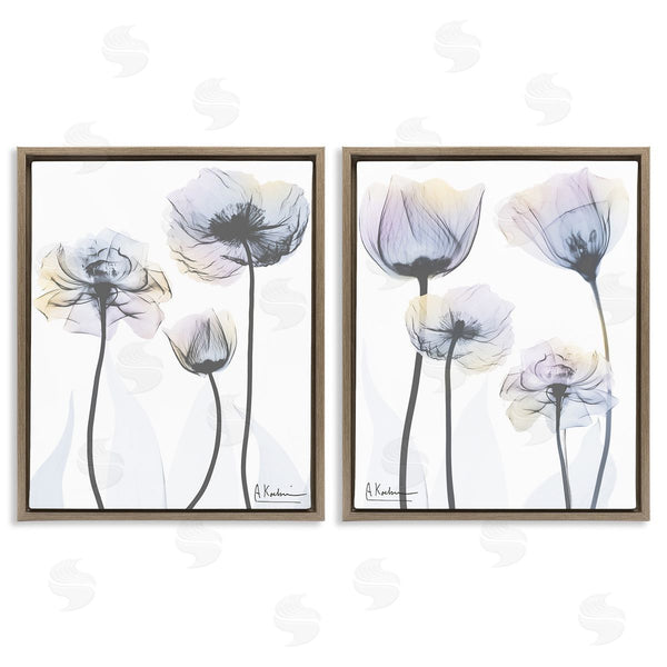 Stupell Industries Albert Koetsier | Modern X-Ray Blooms Wall Art