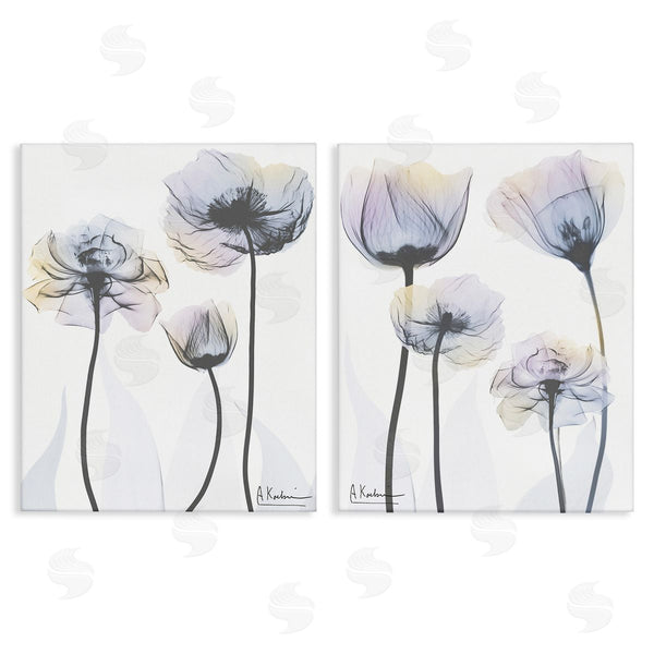 stupell industries Albert Koetsier | Modern X-Ray Blooms Wall Art