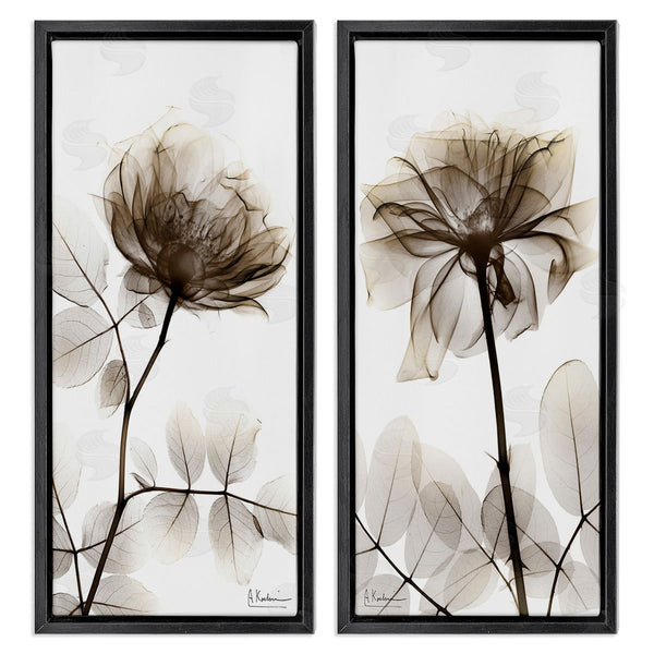 Stupell Industries Albert Koetsier | Natural Modern Blooms Wall Art