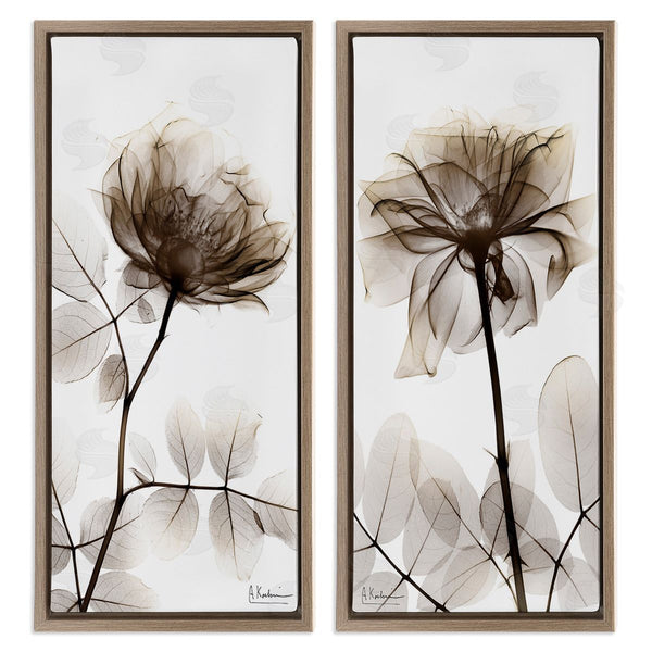 Stupell Industries Albert Koetsier | Natural Modern Blooms Wall Art