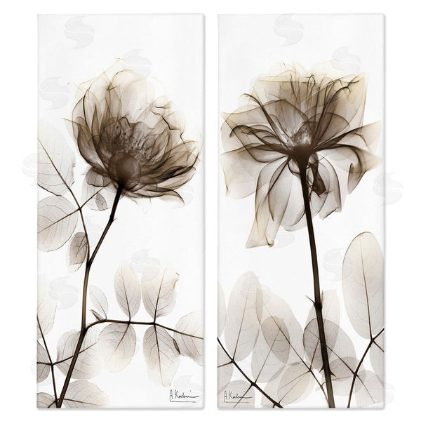stupell industries Albert Koetsier | Natural Modern Blooms Wall Art