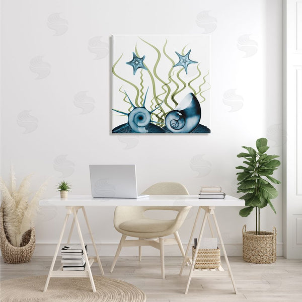 Stupell Industries Albert Koetsier | Navy Blue Sea Floor Arrangement Translucent Shell Collage Wall Art