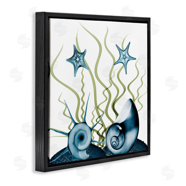 Stupell Industries Albert Koetsier | Navy Blue Sea Floor Arrangement Translucent Shell Collage Wall Art