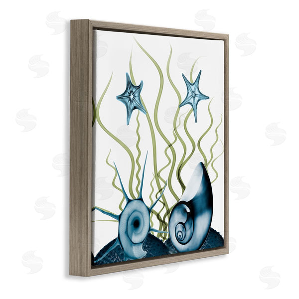 Stupell Industries Albert Koetsier | Navy Blue Sea Floor Arrangement Translucent Shell Collage Wall Art