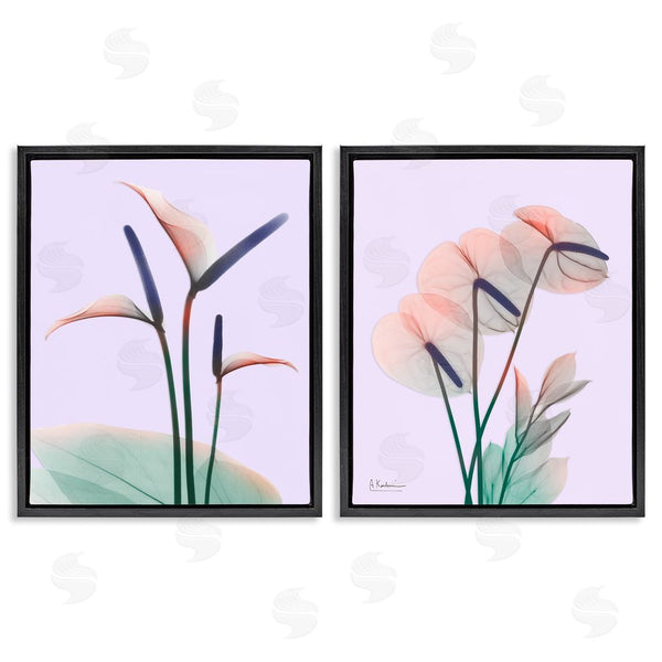 Stupell Industries Albert Koetsier | Neon Reeds Purple Green Flower Design Wall Art