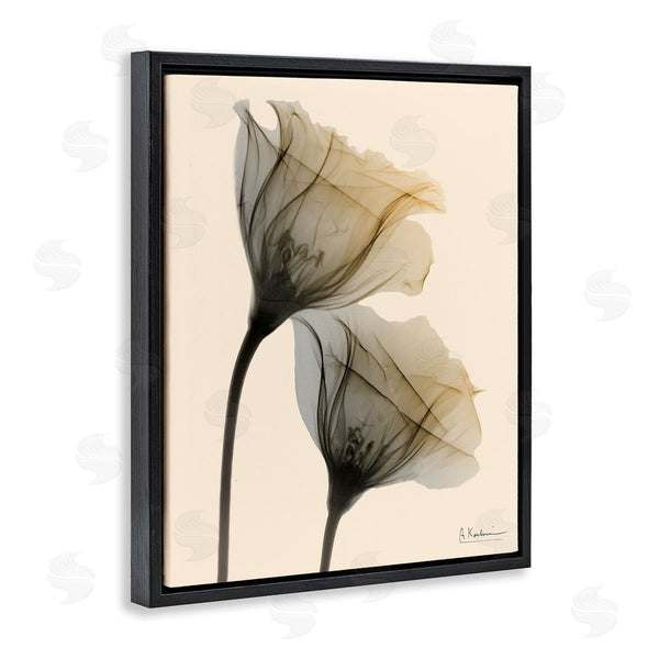 Stupell Industries Albert Koetsier | Neutral Light Flower Photograph