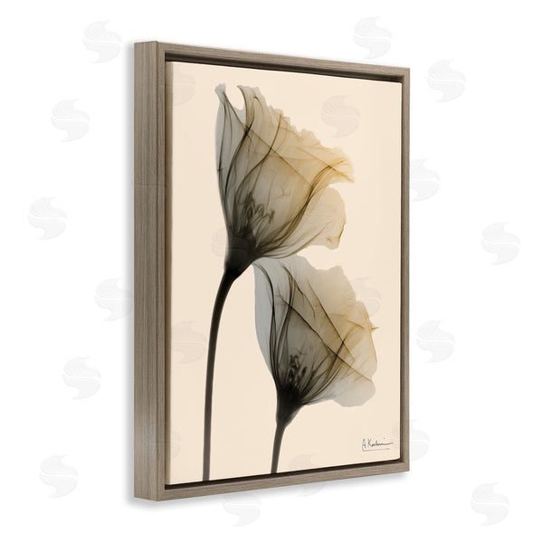 Stupell Industries Albert Koetsier | Neutral Light Flower Photograph