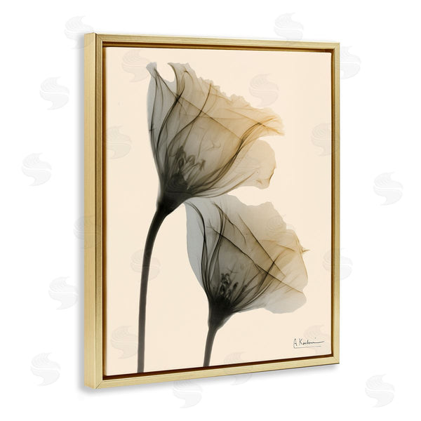 Stupell Industries Albert Koetsier | Neutral Light Flower Photograph